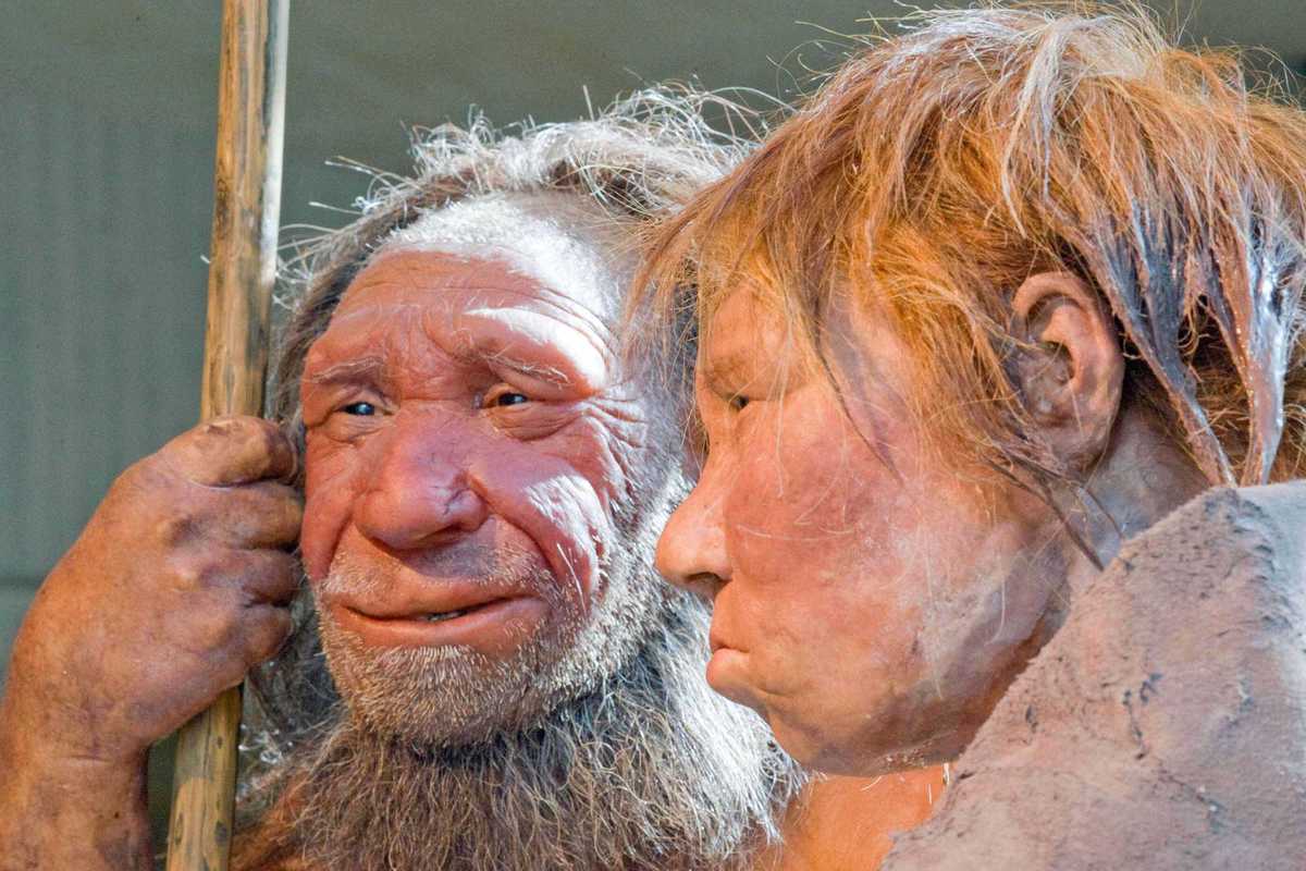 Study suggests Neanderthal men more likely to pair with human women