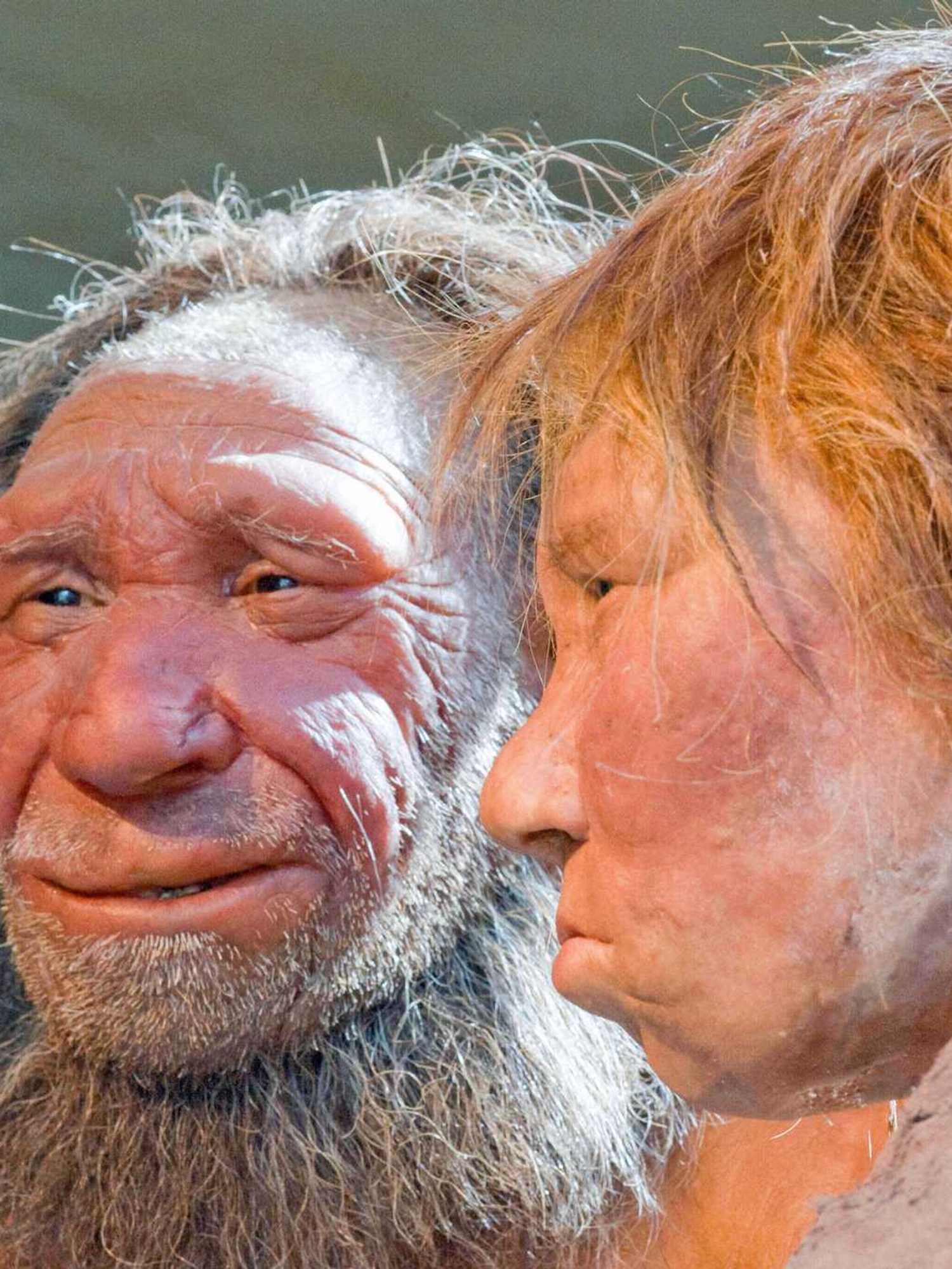 Study suggests Neanderthal men more likely to pair with human women