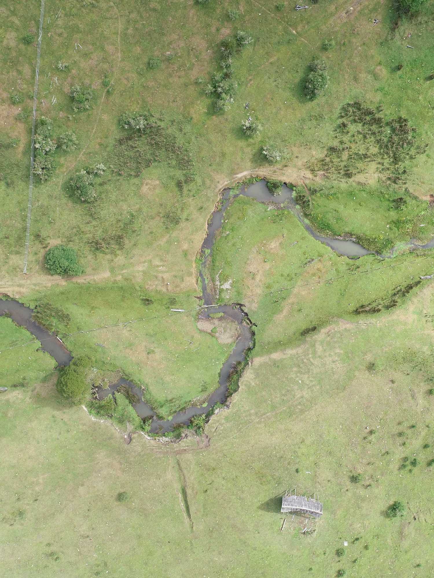 Scientists clash over claim that could rewrite history