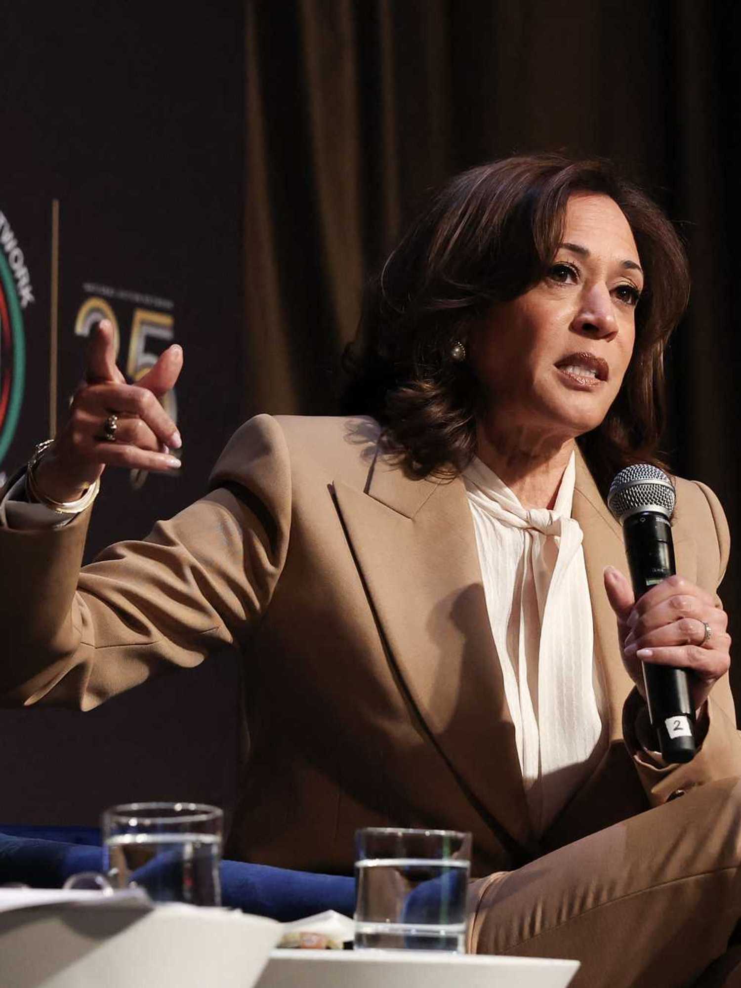 Will Kamala Harris run for president in 2028? Former vice president issues major update on political career