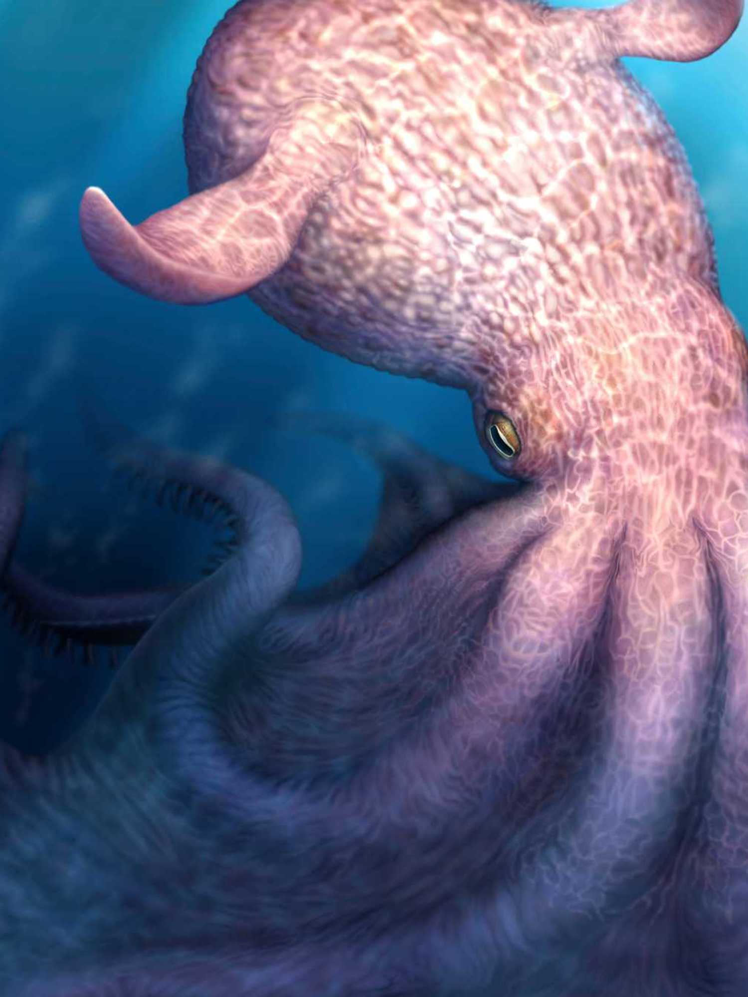 Fearsome giant octopus was a top predator during the age of dinosaurs