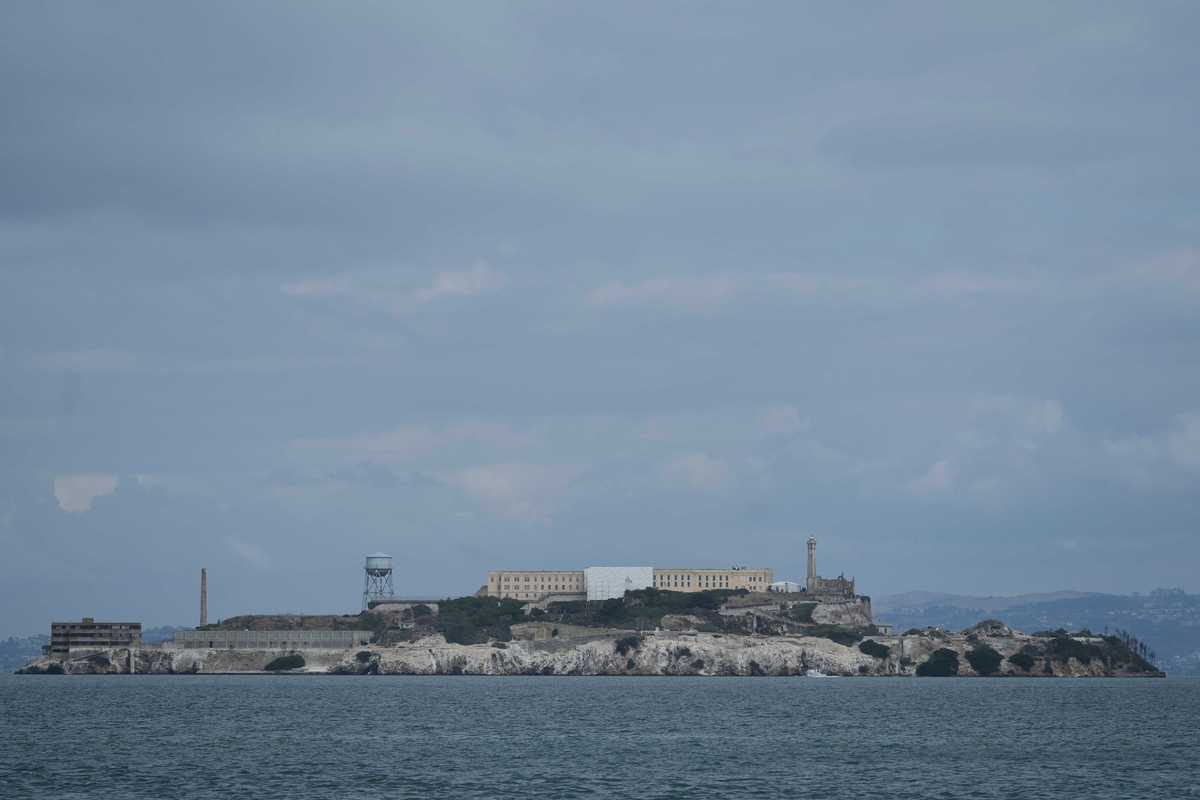 Coyote defies science by swimming two miles to Alcatraz