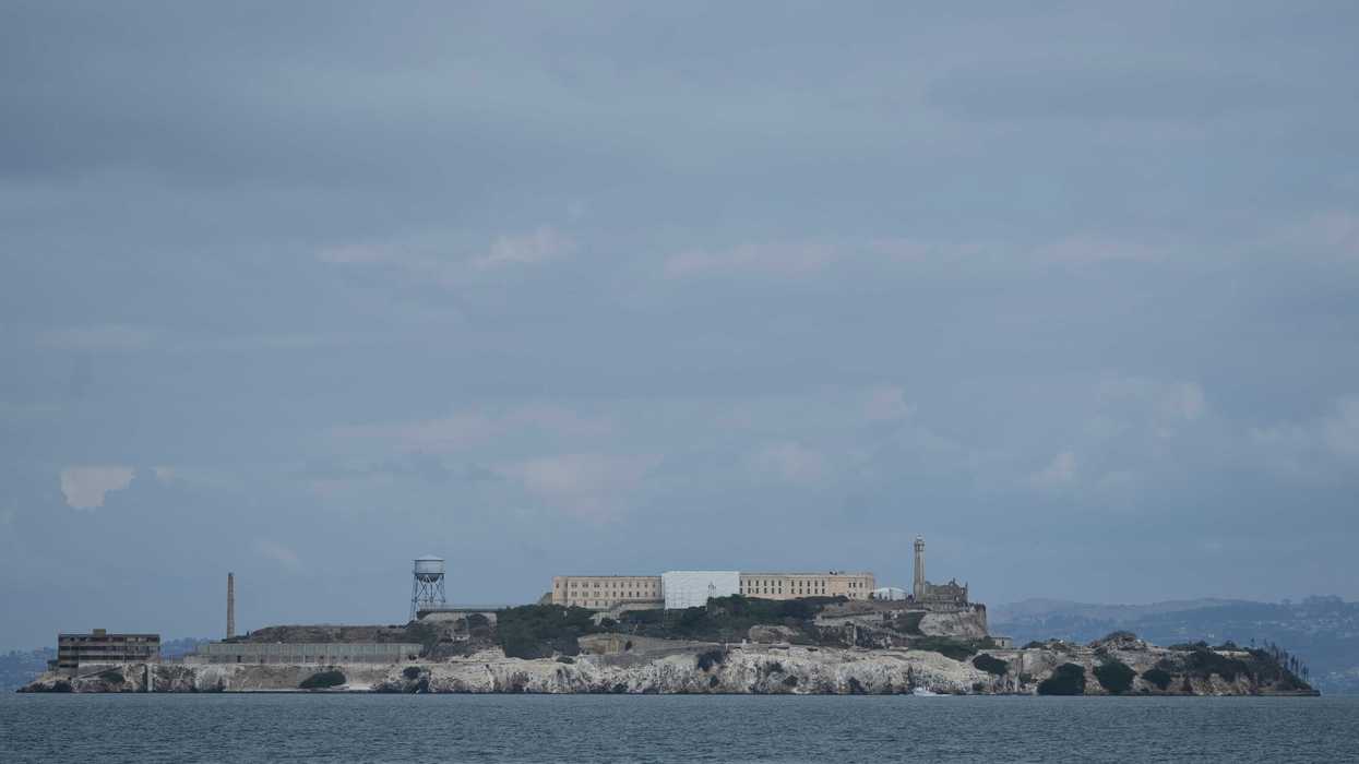 Coyote defies science by swimming two miles to Alcatraz