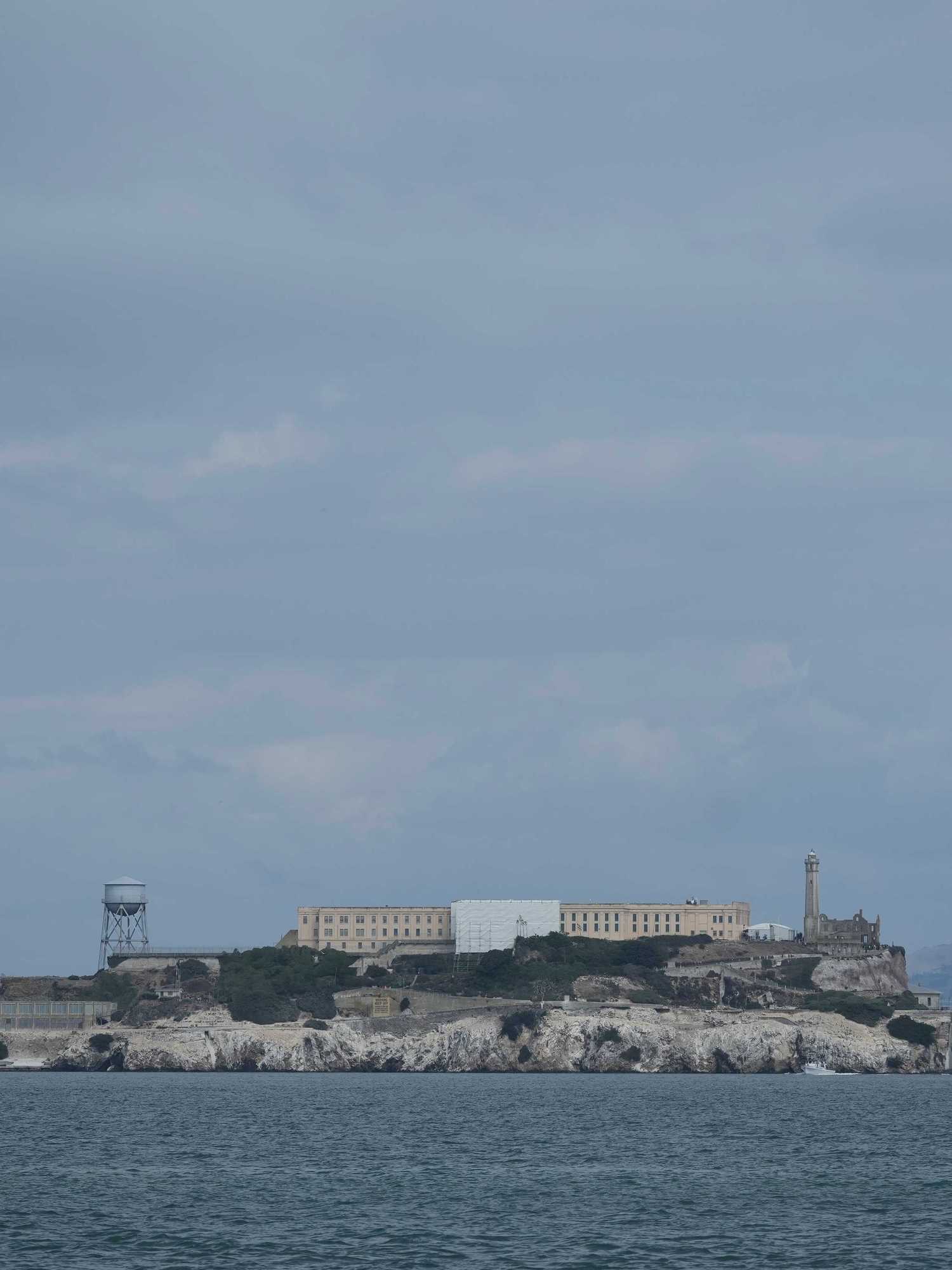 Coyote defies science by swimming two miles to Alcatraz
