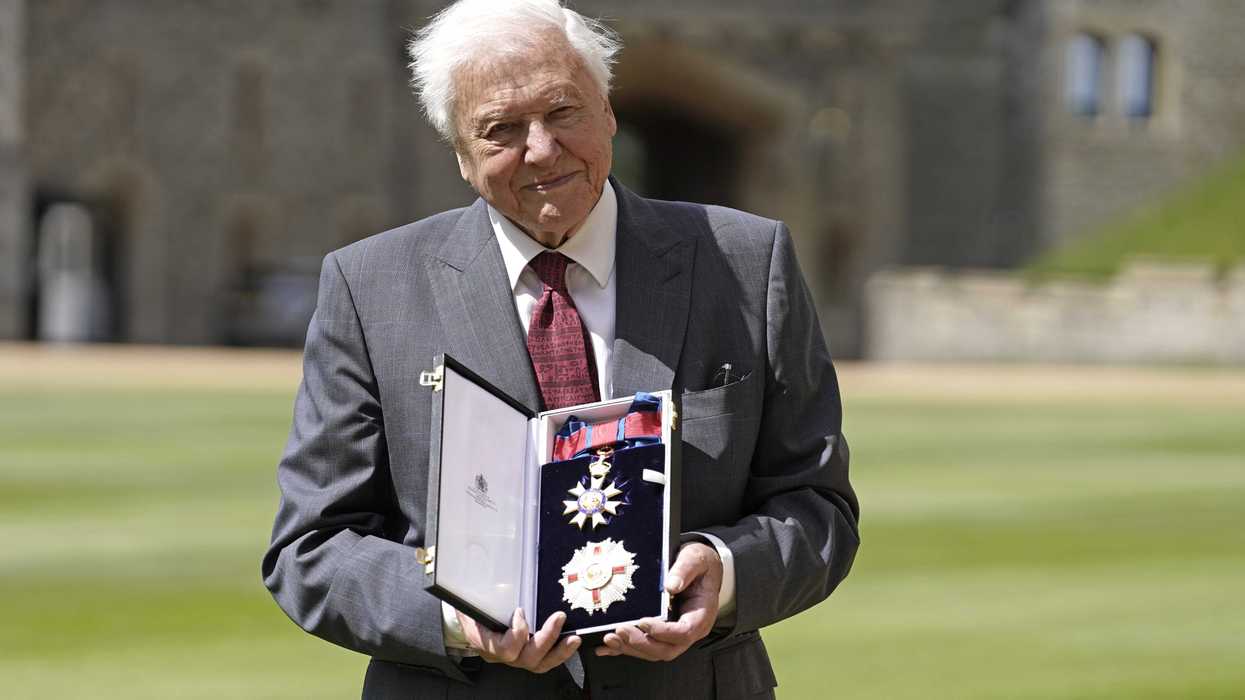 David Attenborough turns 100: Here are 5 of his standout documentaries over the years