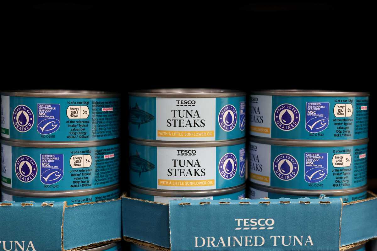 Tinned tuna sales soar as TikTok trend makes the cupboard staple cool
