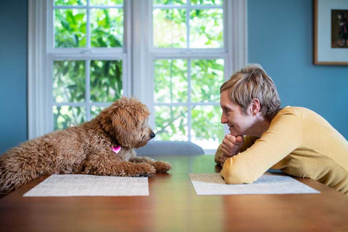 AI collar claims it can translate your pet’s sounds – and the internet has questions