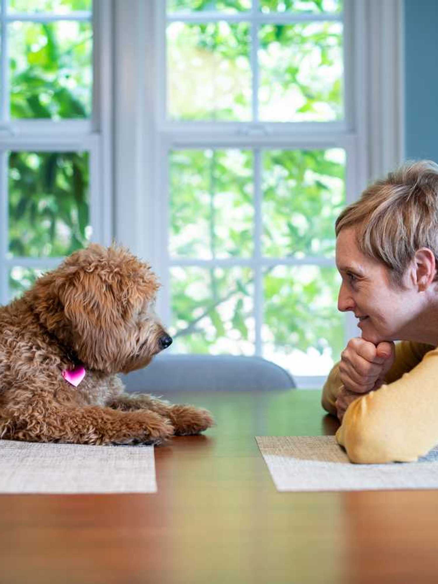 AI collar claims it can translate your pet’s sounds – and the internet has questions