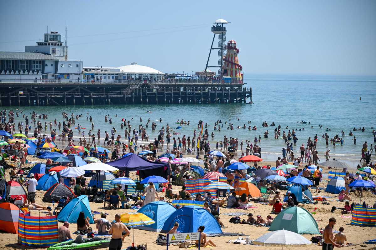 All the biggest reactions to UK heatwave: 'I can't cope with this'