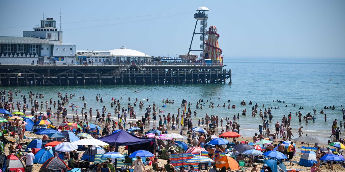 All the biggest reactions to UK heatwave: 'I can't cope with this'