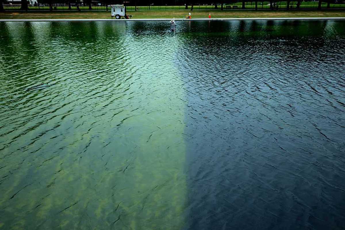 Trump fighting losing battle with Lincoln Memorial Reflecting Pool algae is a ‘perfect metaphor’