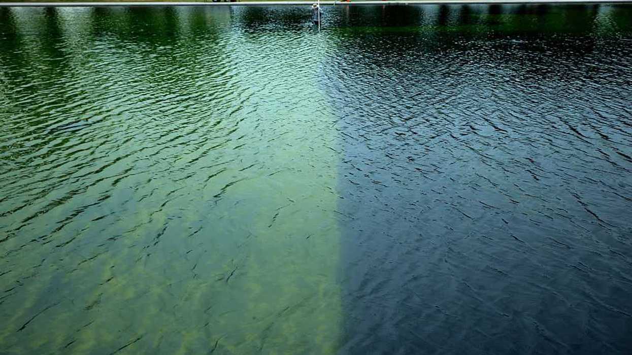 Trump fighting losing battle with Lincoln Memorial Reflecting Pool algae is a ‘perfect metaphor’