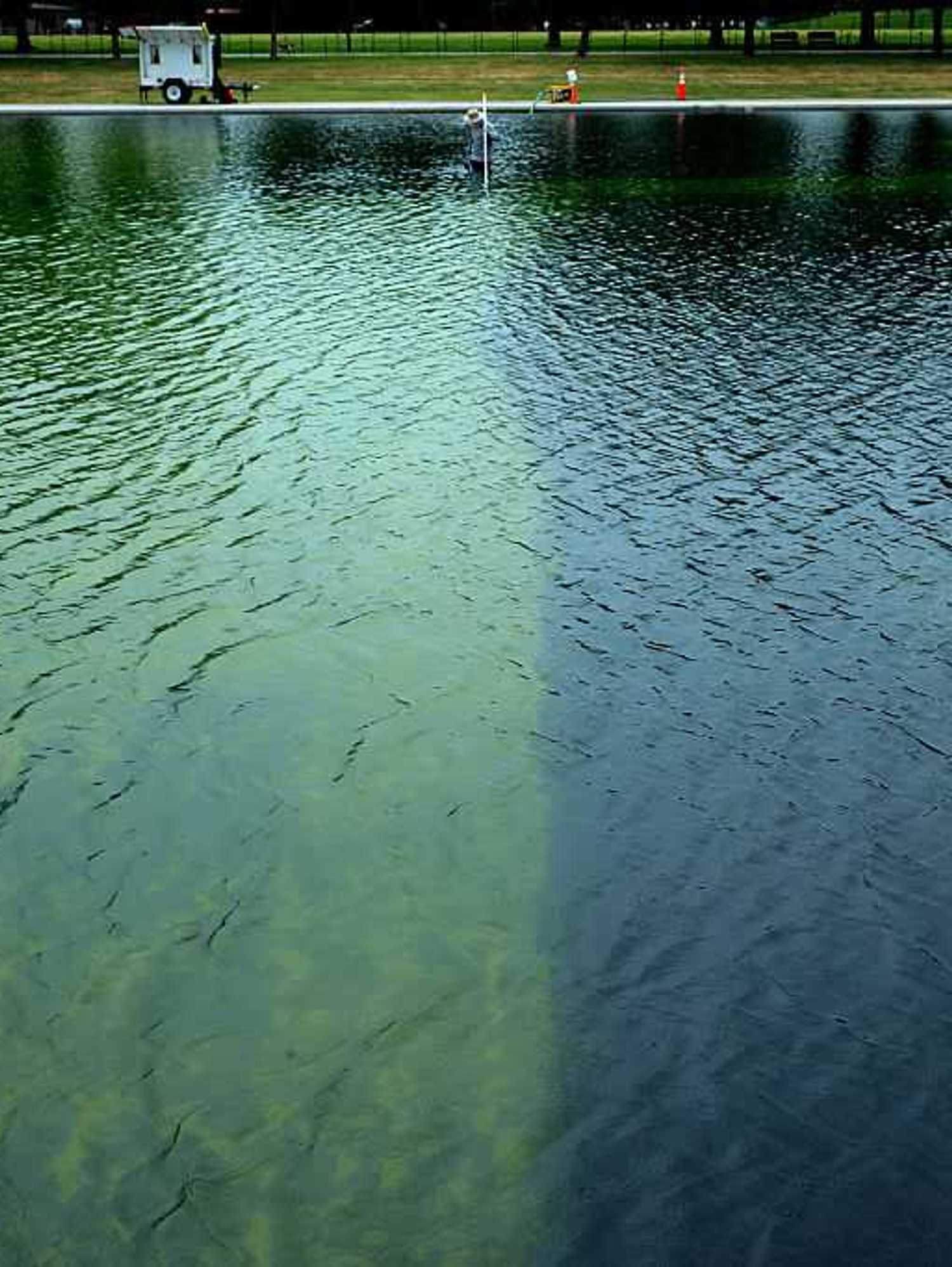 Trump fighting losing battle with Lincoln Memorial Reflecting Pool algae is a ‘perfect metaphor’