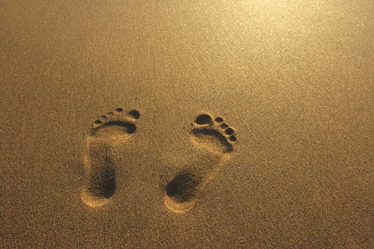 Ancient human footprints discovery could rewrite the history of human migration