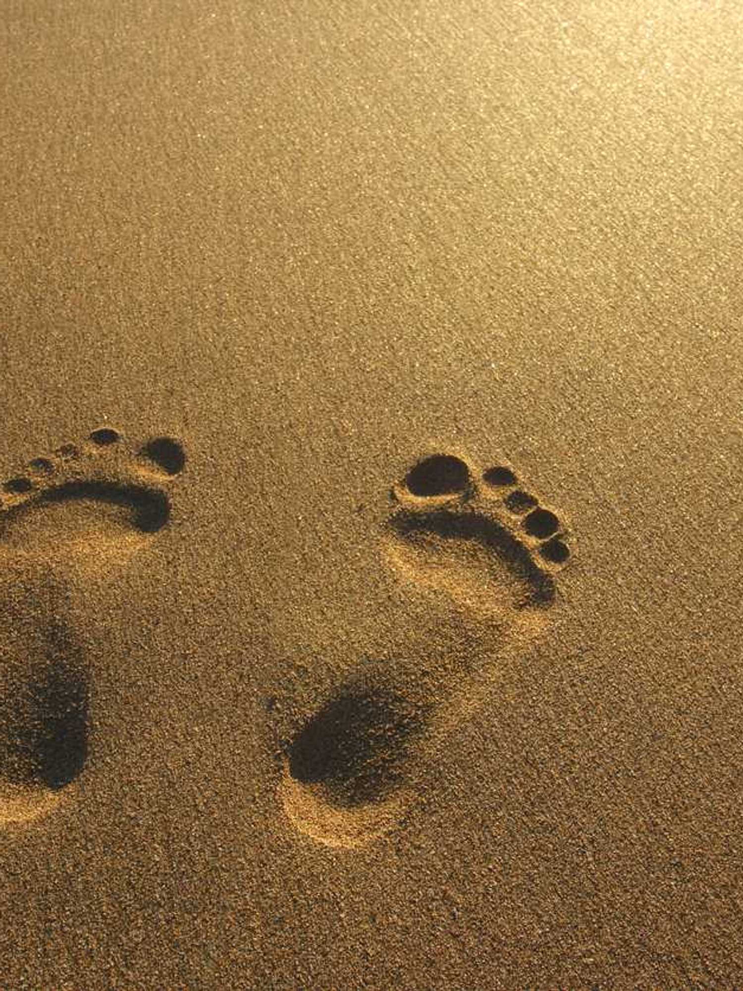 Ancient human footprints discovery could rewrite the history of migration