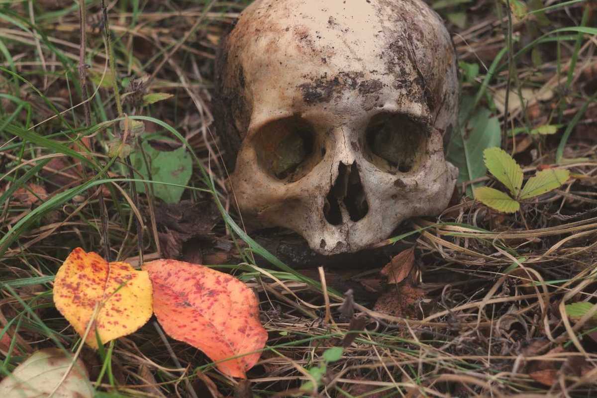 Cannibalism taboo evolved to save humanity from epidemics, scientists discover