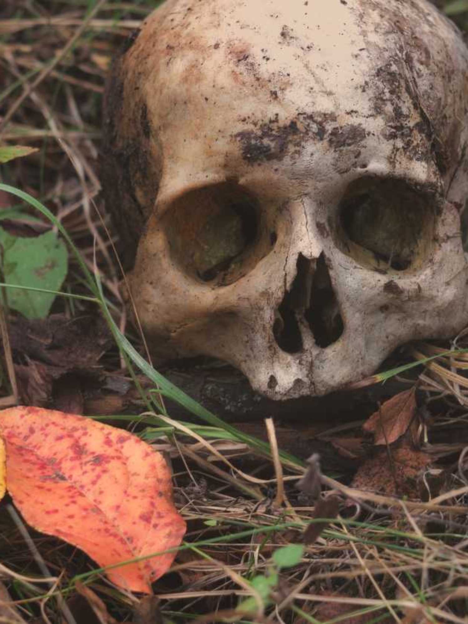 Cannibalism taboo evolved to save humanity from epidemics, scientists discover