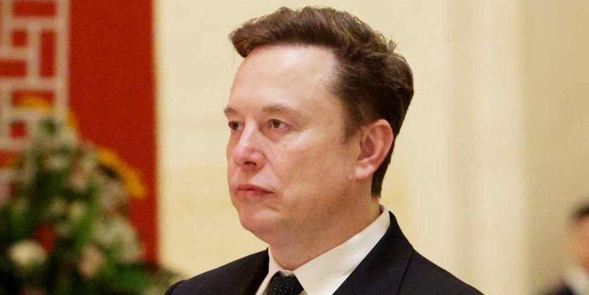Elon Musk brands Tom Holland a 'cuck' - but it's not what you think
