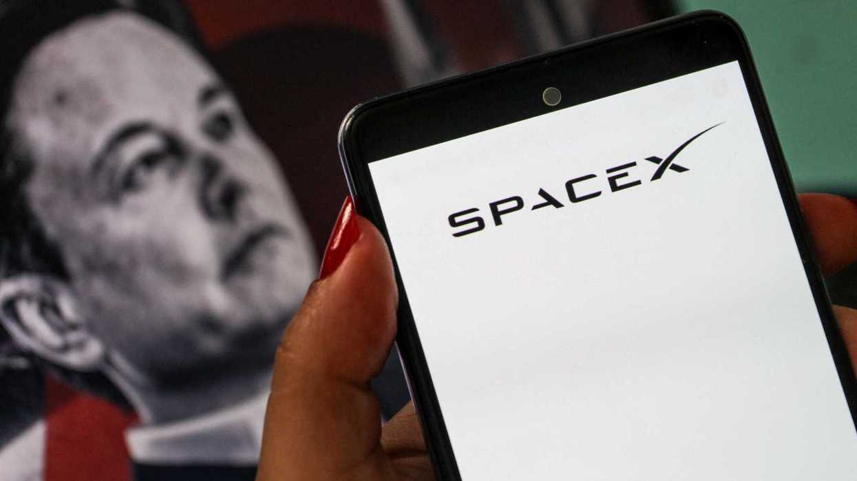 SpaceX investors are requesting that Elon Musk paint Starship pink - what you need to know