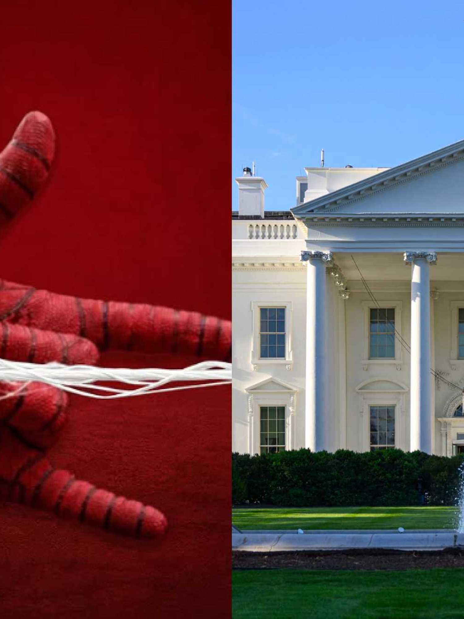 White House slammed over Spider-Man ICE campaign post: ‘This is embarrassing’