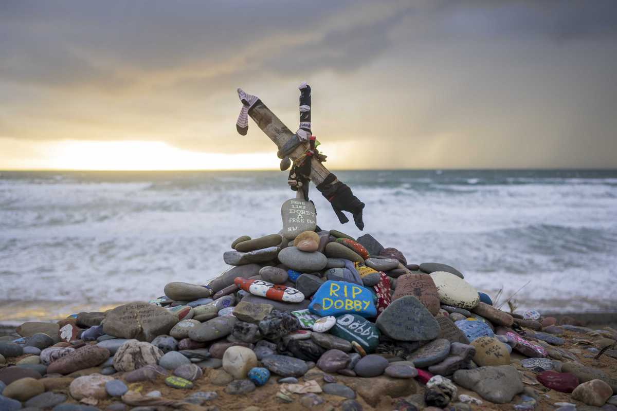 'Grow up': Pushback as Harry Potter fans forced sea cable to be relocated to avoid Dobby's ‘grave’