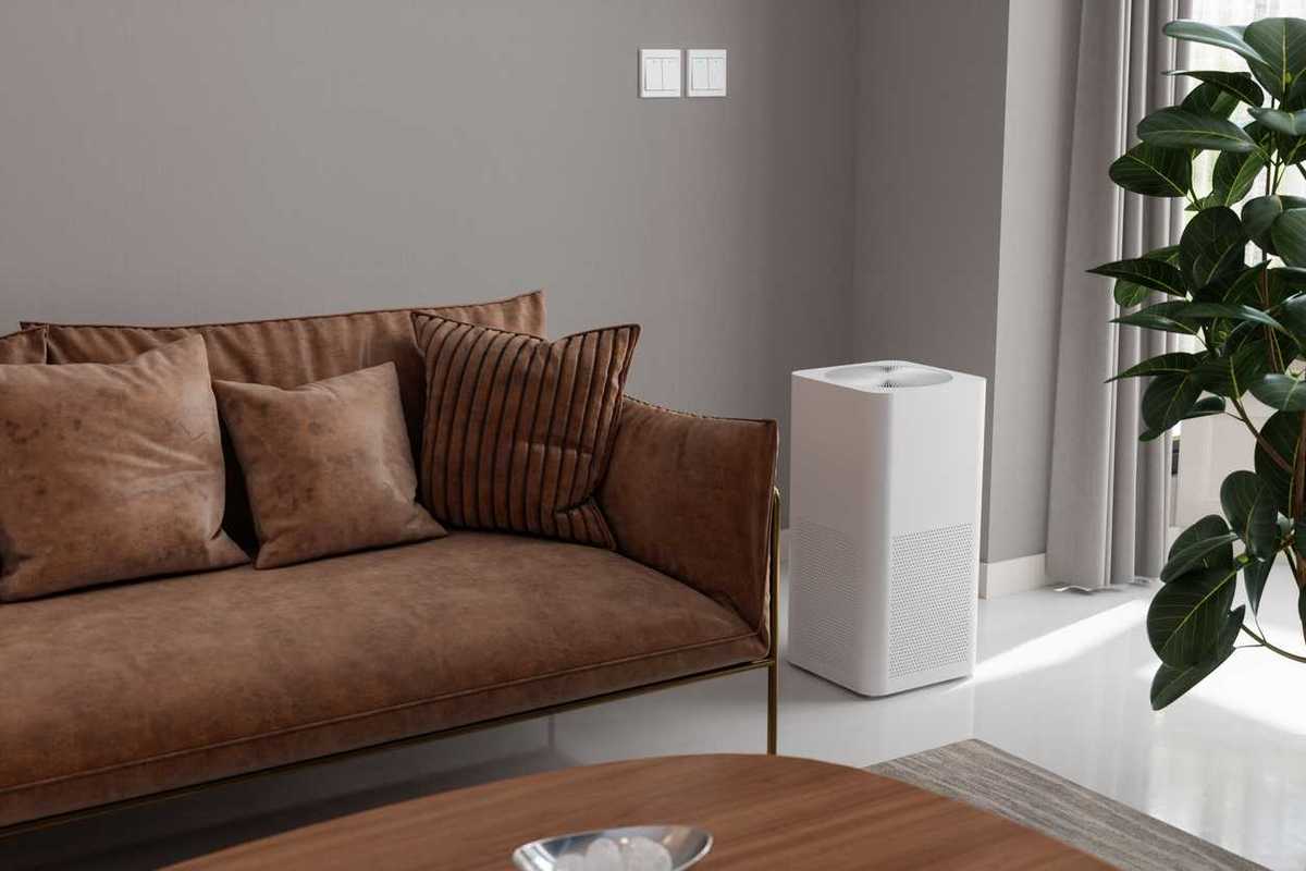 Adding this device to your home could quietly be boosting your brain function, according to science