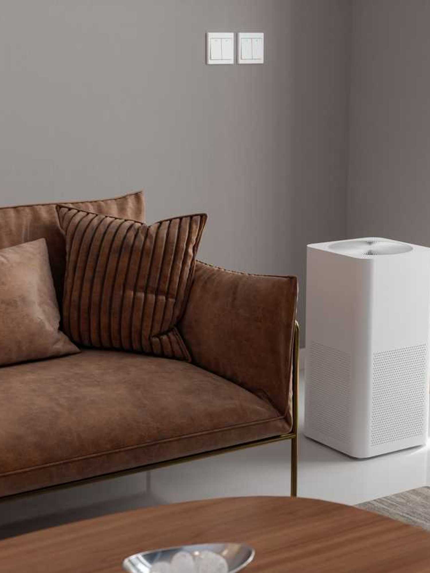Adding this device to your home could quietly be boosting your brain function, according to science