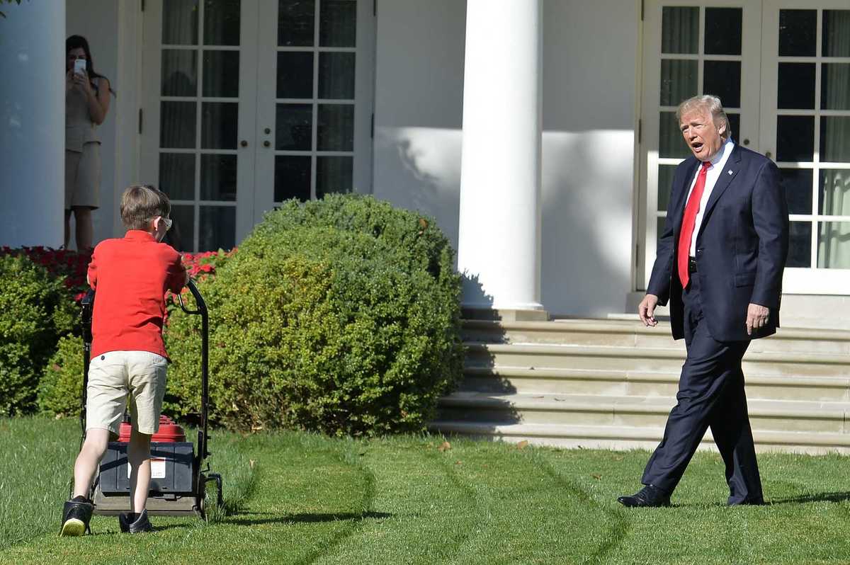 Donald Trump went on a bizarre rant about lawnmowers being hard to start – yes, really