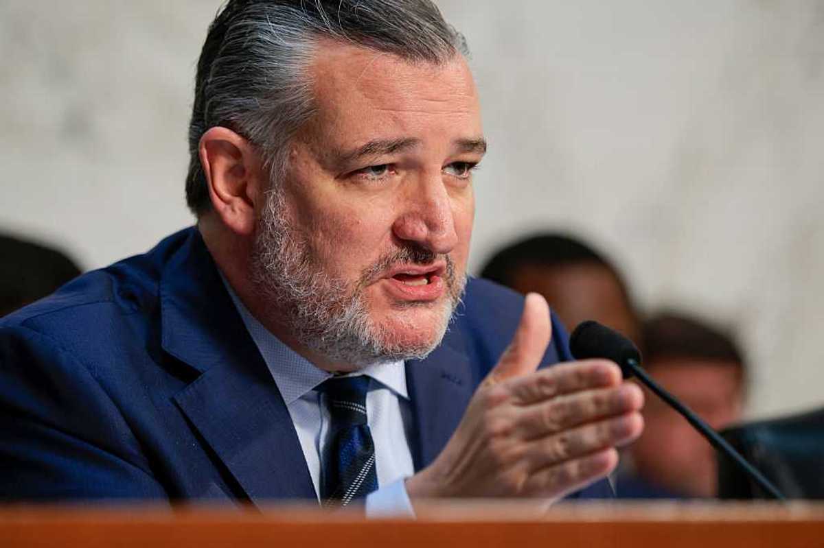 Ted Cruz rambles about ‘transgender left-wing witches’ who hate Trump