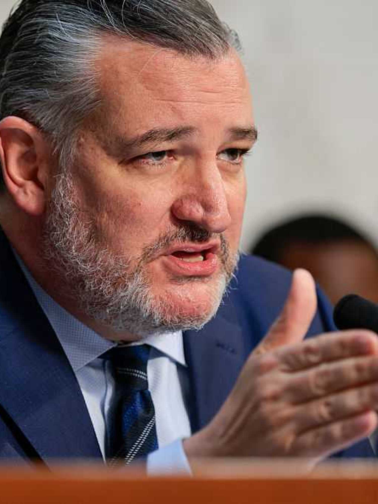 Ted Cruz rambles about ‘transgender left-wing witches’ who hate Trump