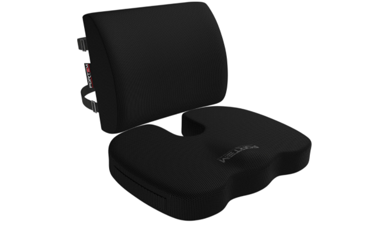 Fortem Seat Cushion & Lumbar Support indy100