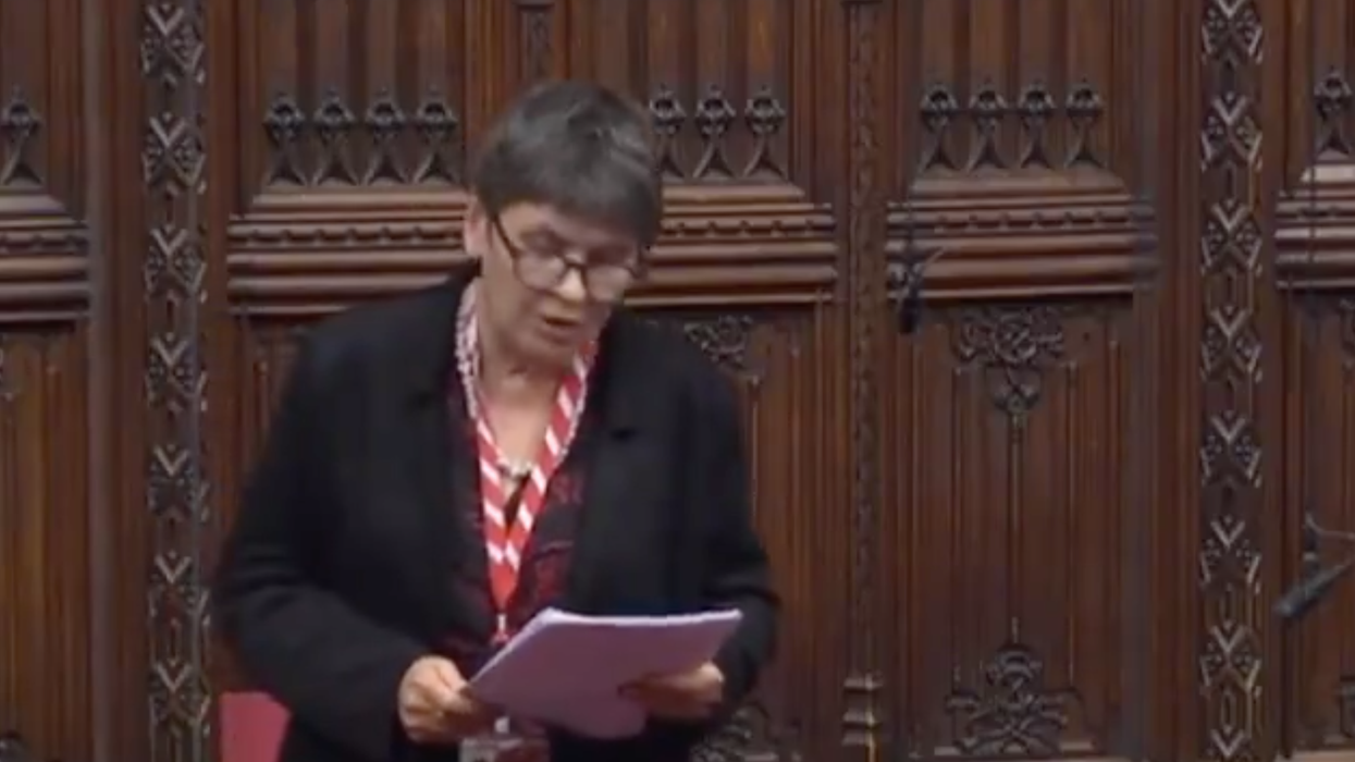 Brexiteer ridiculed for accidentally voting against the bill she just publicly supported