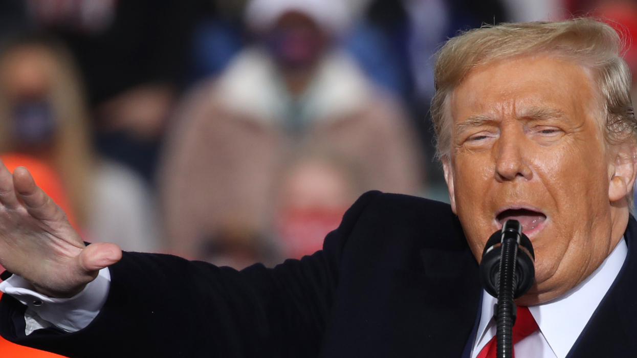 Trump suggests he voted to send 'proud Islamophobe' Laura Loomer to congress