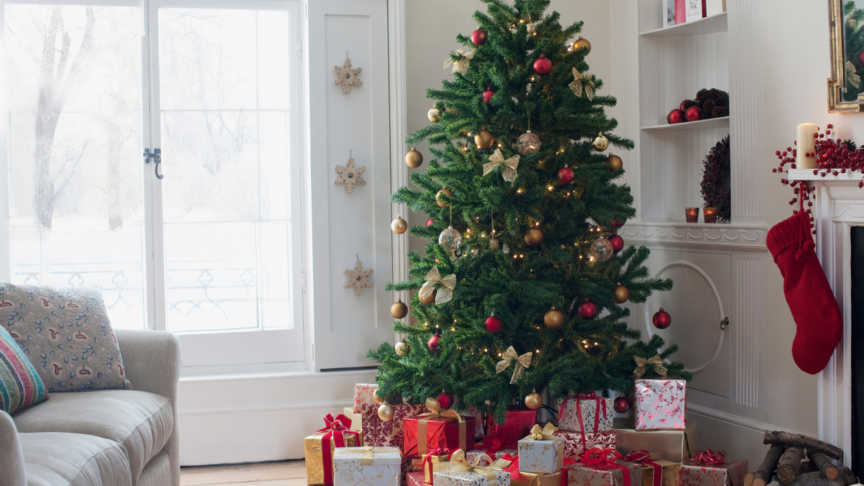 People are putting up their Christmas trees in October, because why not?