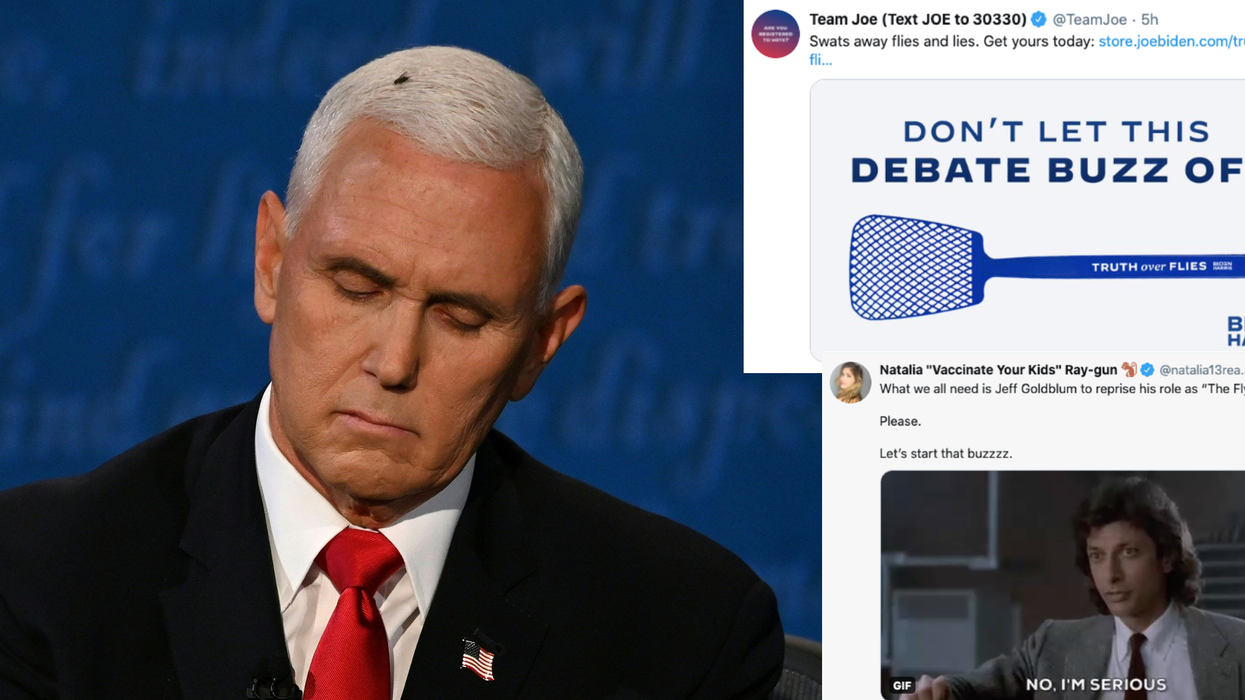 26 of the funniest reactions to a fly landing on Mike Pence’s head during the VP debate