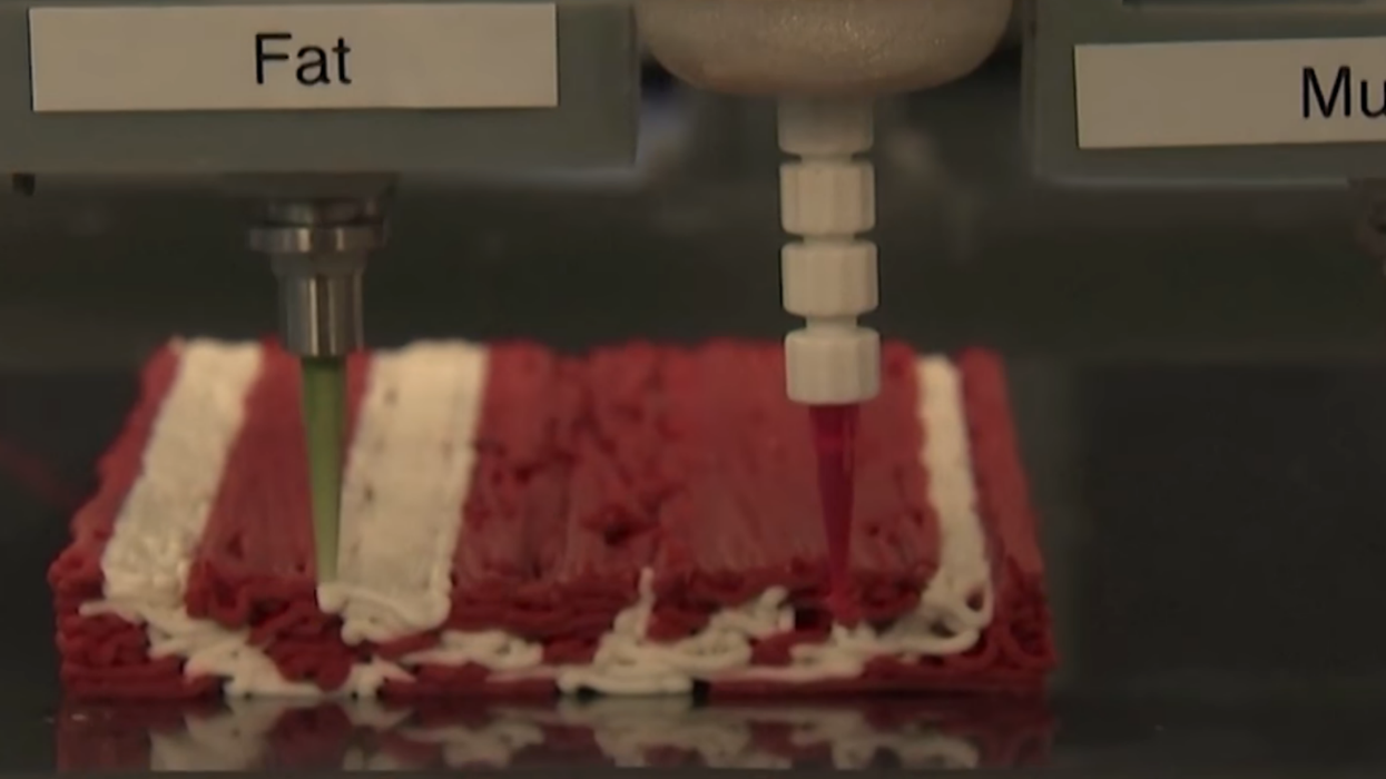 Company invents vegan '3D printed steaks' to fight the climate emergency and 'replace a cow'