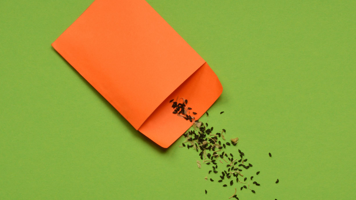 This woman thinks she's found out why so many people are receiving mystery seeds in the post