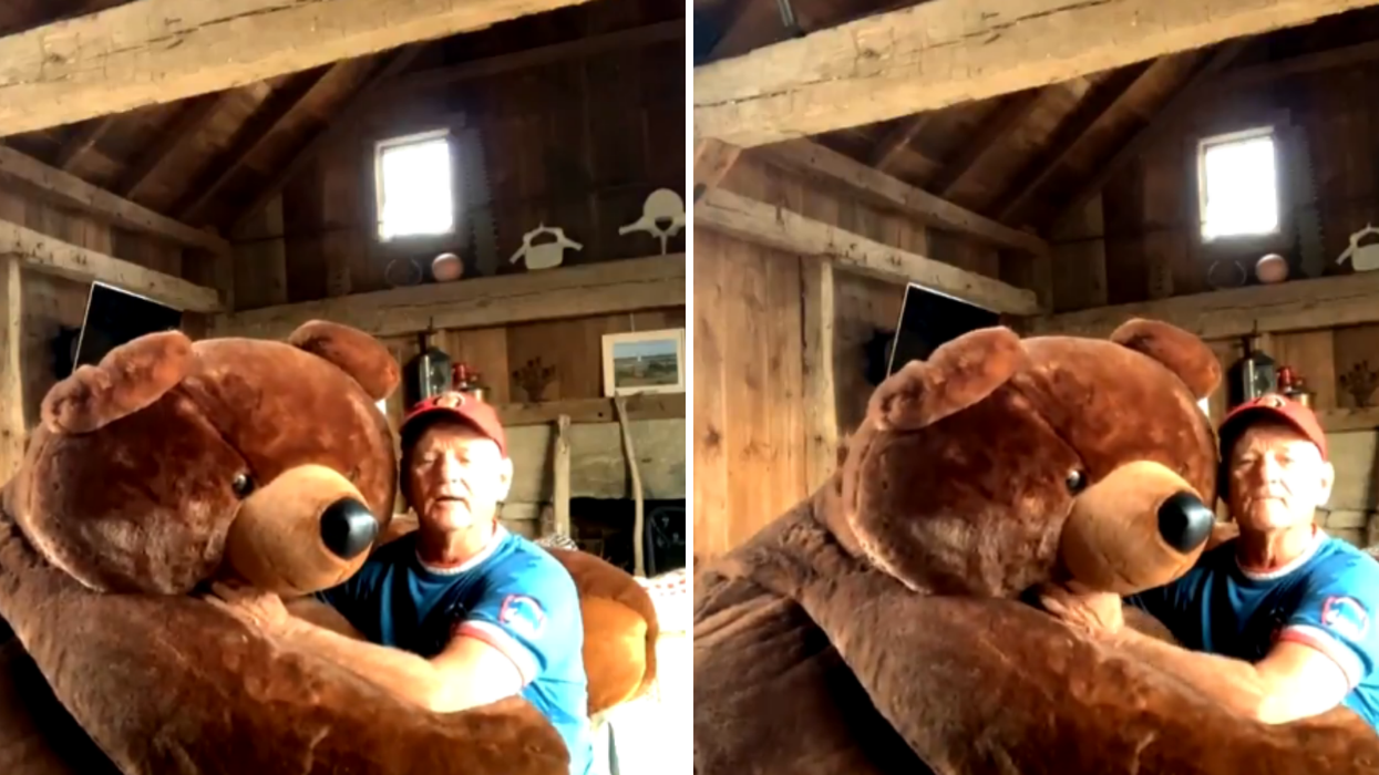 Bill Murray video singing baseball song with giant teddy bear goes viral