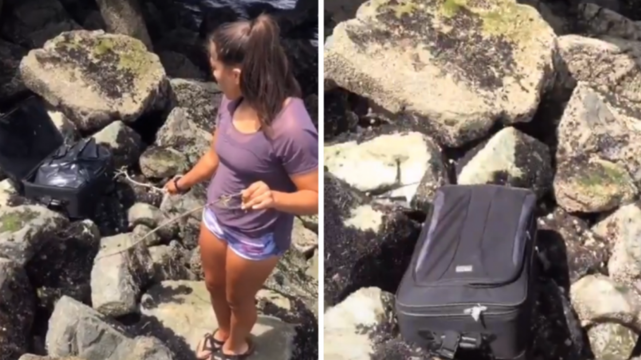 Police investigate after teenagers post TikTok claiming they found a dead body in a suitcase washed up on Seattle beach