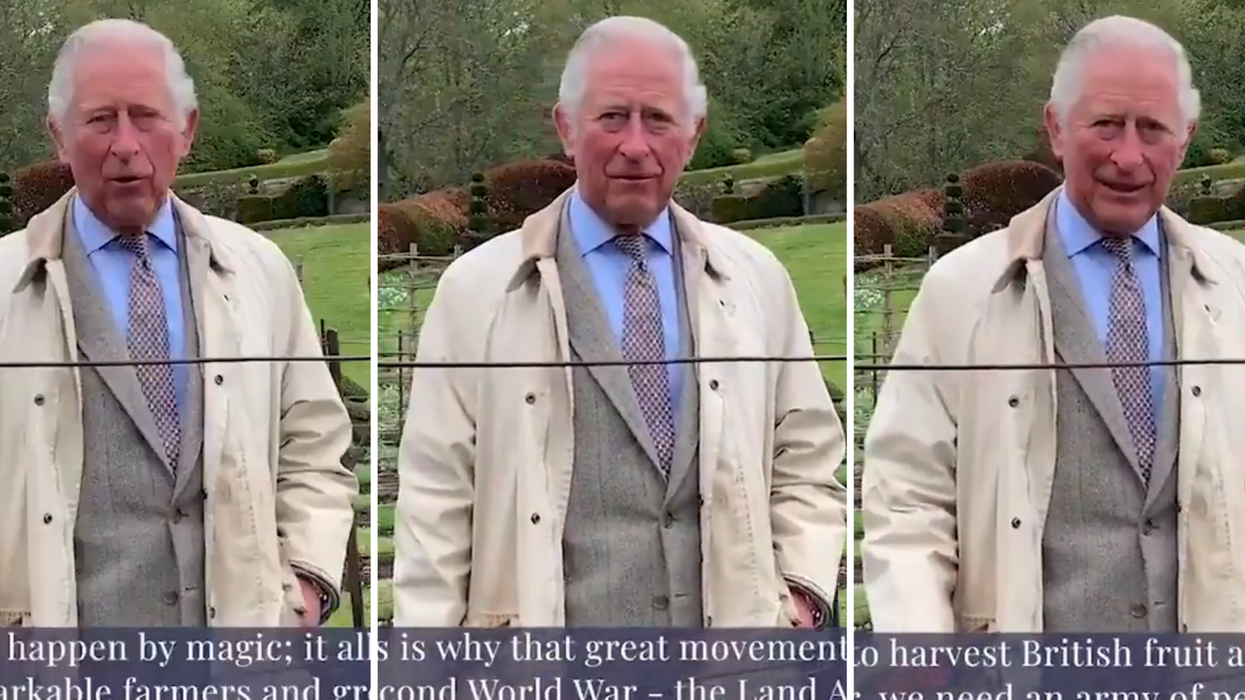 Prince Charles ridiculed for asking furloughed workers to pick fruit for the government