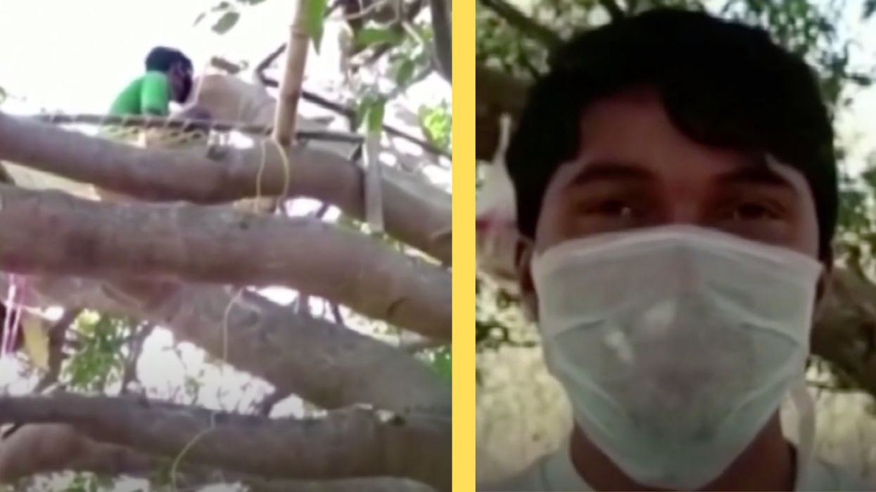 In India, people are self-isolating in trees to keep their families safe from coronavirus
