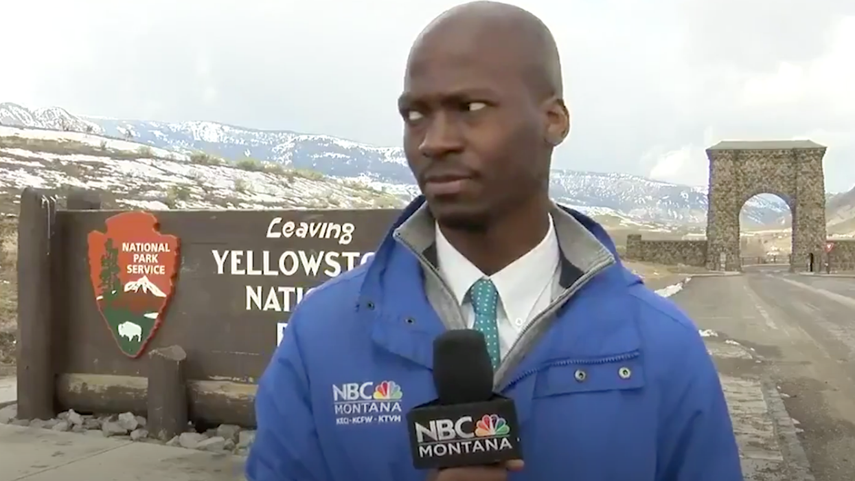 This reporter's reaction to seeing a herd of bison coming towards him is the most relatable thing you'll see all day