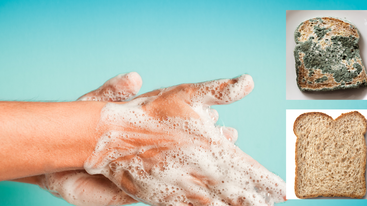 This terrifying experiment with a loaf of bread shows why washing your hands is really important