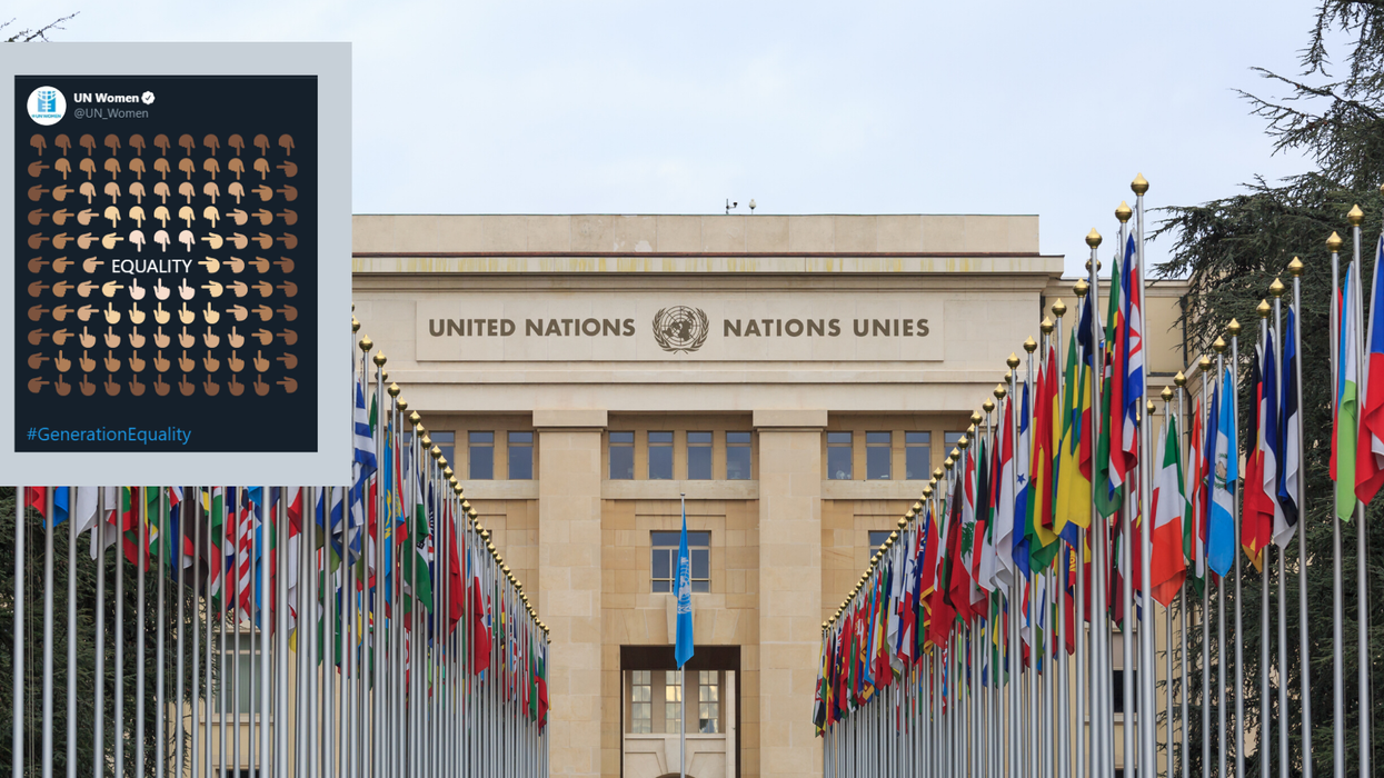 UN accused of being racially insensitive after posting bizarre tweet about 'equality'