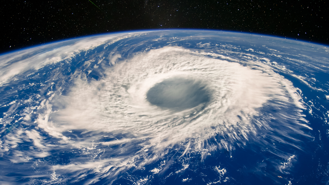 This photo of grass on Mount Everest proves how terrifyingly real climate change is