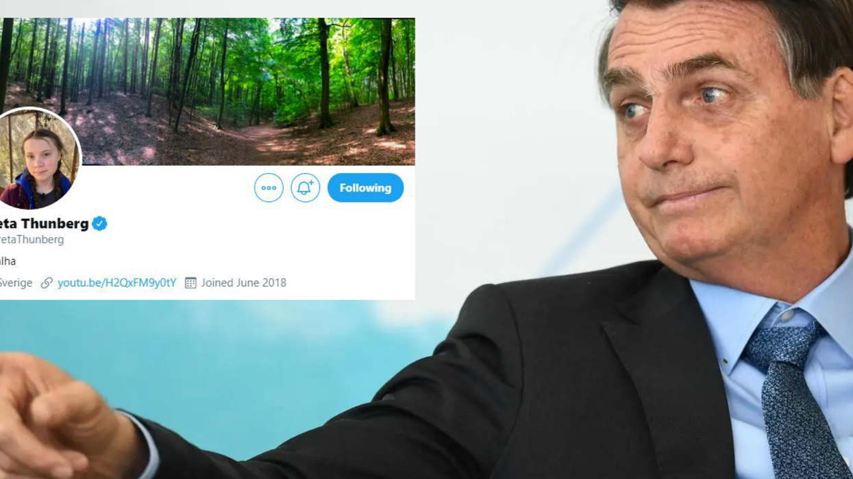 Bolsonaro called Greta Thunberg a brat, so obviously she made it her Twitter bio