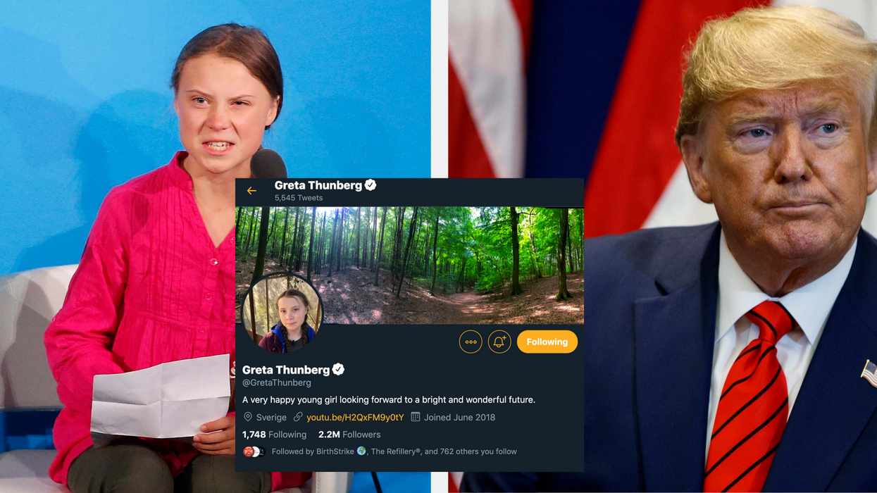 Greta Thunberg's new Twitter bio is actually a genius Trump joke