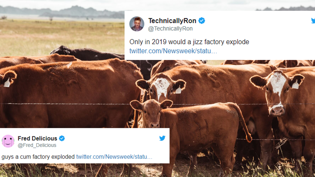 A massive explosion at a bull insemination facility has inspired a lot of NSFW jokes