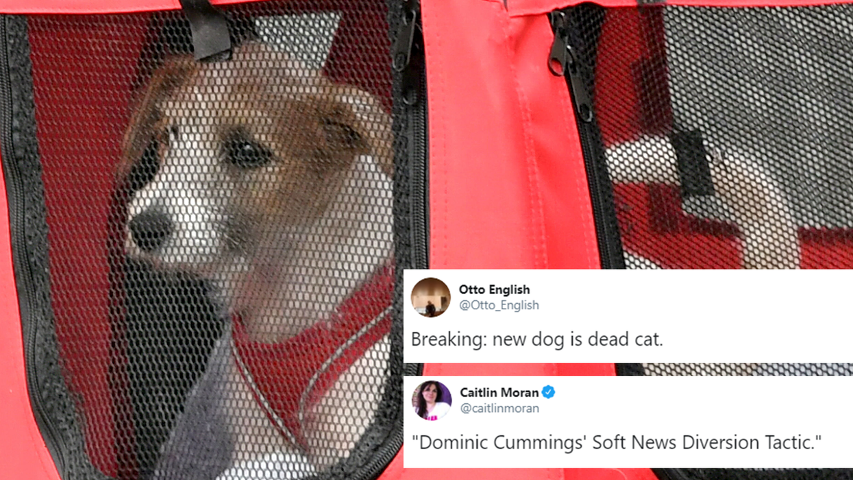 Boris Johnson has adopted a dog and people are suggesting hilariously bleak names