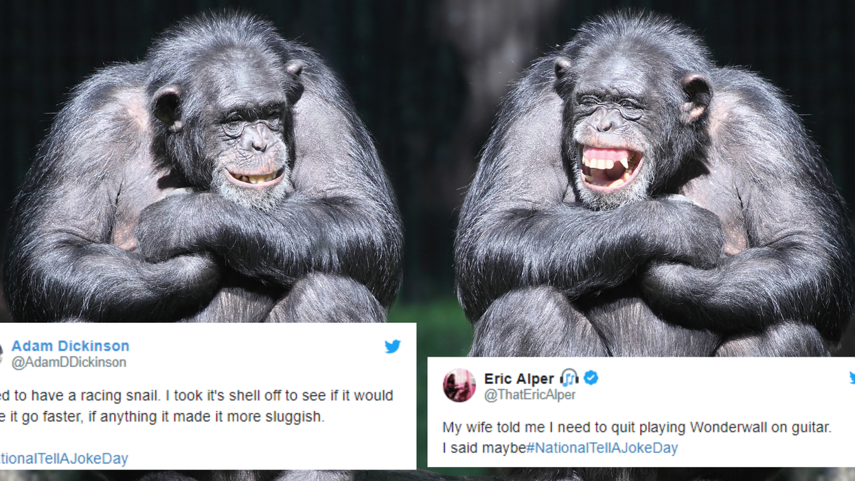 National Tell A Joke Day: 20 gags that are so bad they're kinda brilliant